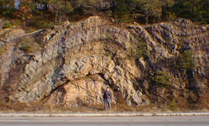 There are two types of folds in this picture: anticline and syncline.