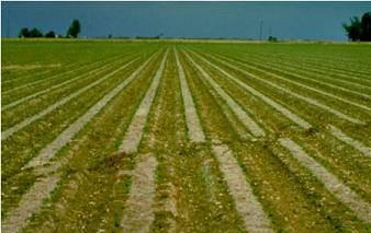 strike-slip fault